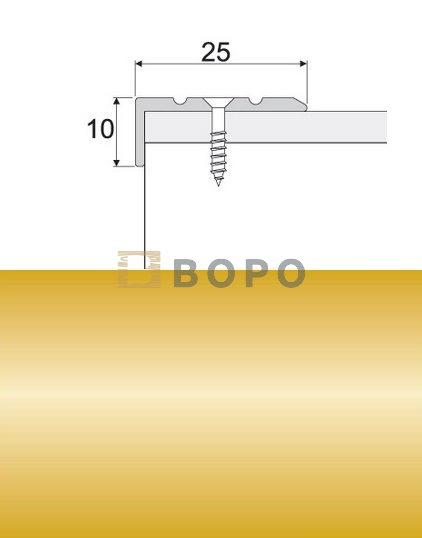 Profilteam Schodová lišta E00 Zlatá šroubovací 25 x 10 mm 270 cm