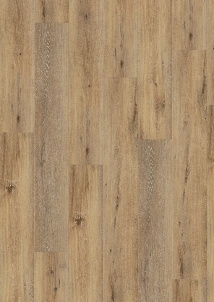 Wineo DESIGNline 400 wood XL click Joy Oak Tender DLC00126